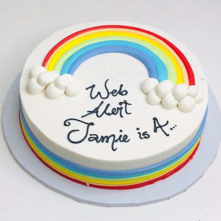 Rainbow Cloud -10 inches